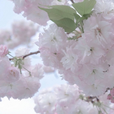 铜川福瑞交流群